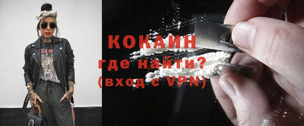 ПСИЛОЦИБИНОВЫЕ ГРИБЫ Дмитриев