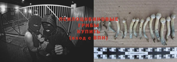 дурь Дмитровск