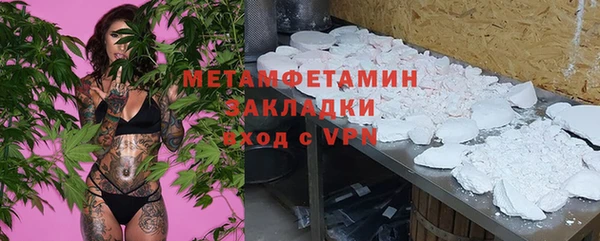 ПСИЛОЦИБИНОВЫЕ ГРИБЫ Дмитриев