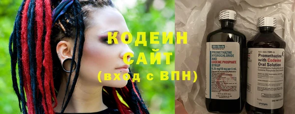 ПСИЛОЦИБИНОВЫЕ ГРИБЫ Дмитриев