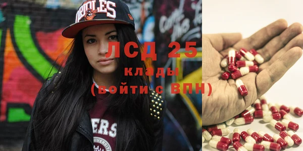 ПСИЛОЦИБИНОВЫЕ ГРИБЫ Дмитриев