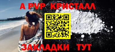 шишки Дубна