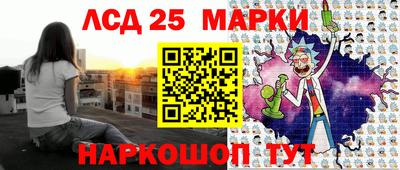 шишки Дубна