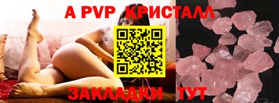 шишки Дубна