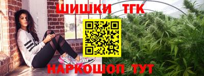 шишки Дубна