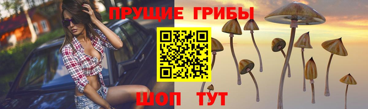даркнет сайт  Вход с VPN  Москва  Галлюциногенные грибы прущие грибы 